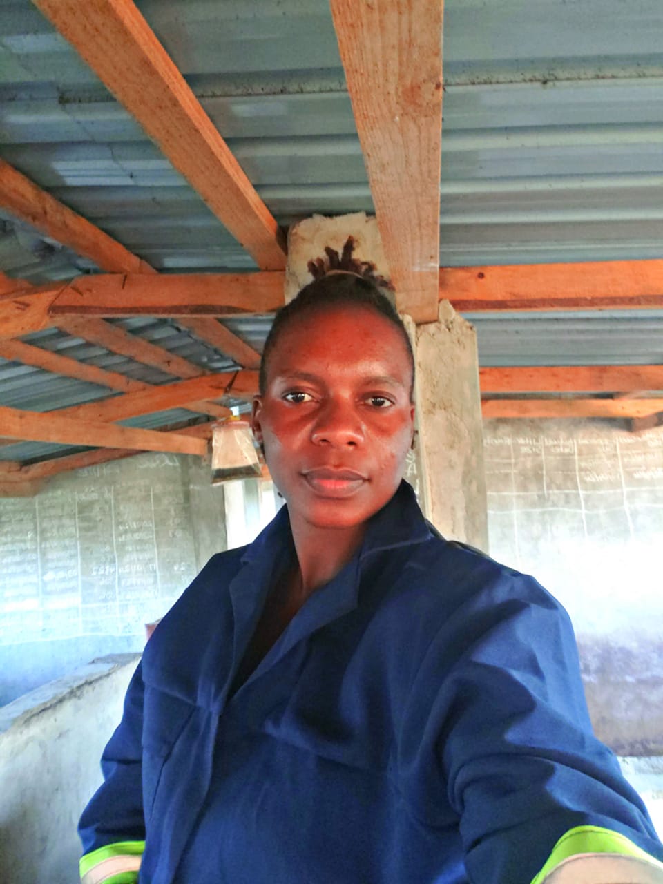Animal Husbandry — project photo